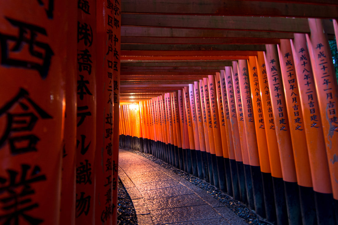 Lorem ipsum dolor sit amet, consectetur adipiscing elit